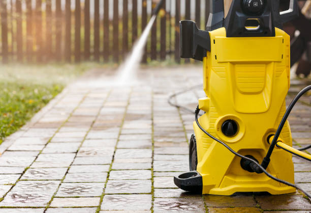 Best Soft Washing  in Pineland, TX
